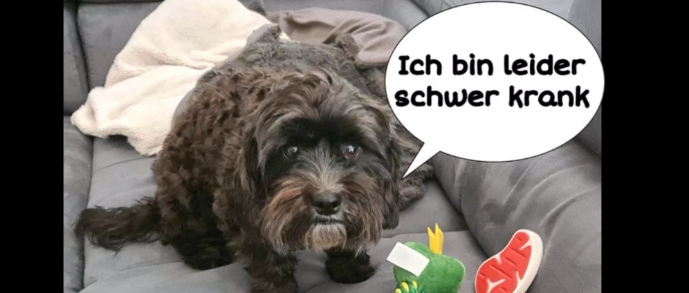 Spenden sammeln | Liebe für Malika | Spendenseite