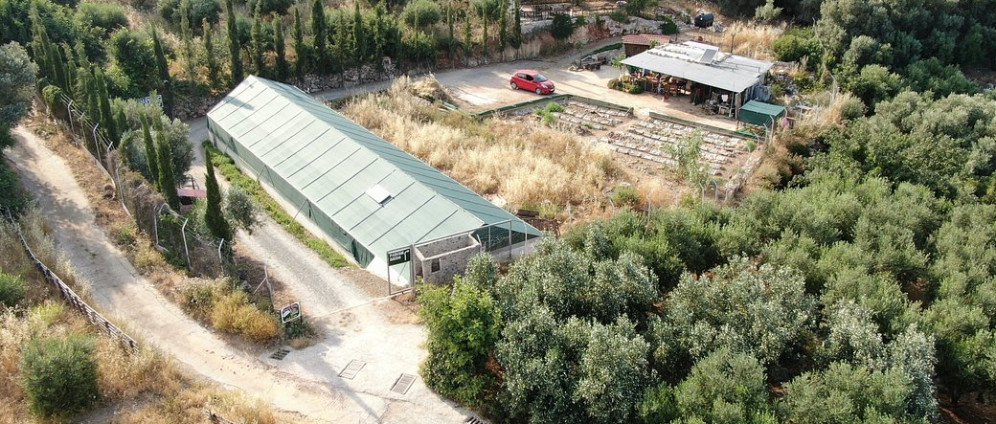 Spenden sammeln | Rettet die Schneckenfarm | Spendenseite