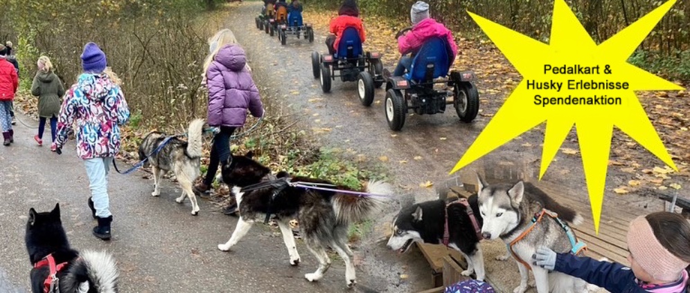 Hilfe für unser Husky Rudel nach Kündigung | Spenden sammeln