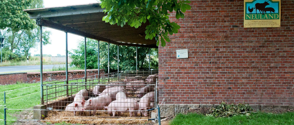 Spenden sammeln | Spenden für Nordsehler Hofshop | Spendenseite