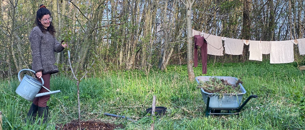 Spenden sammeln | Spende einen Obstbaum, Beerenstrauch oder Kräuter | Spendenseite