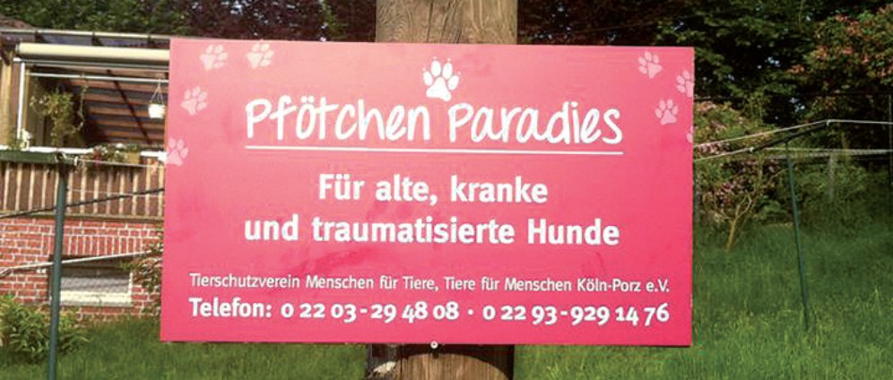Spenden sammeln | Pfötchen Paradies | Spendenseite