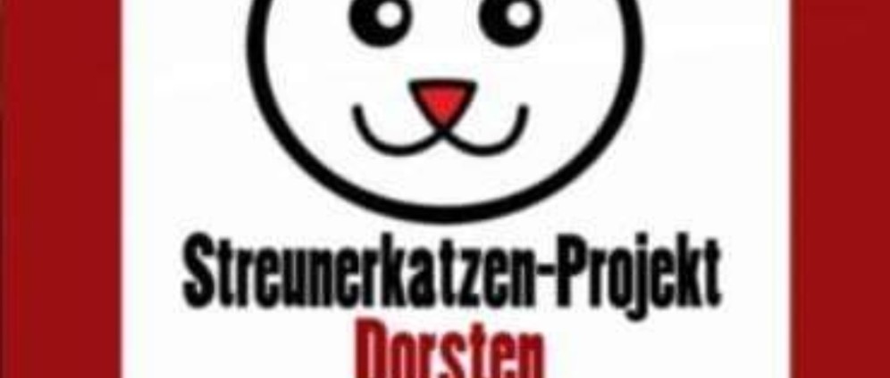 Spenden sammeln | Kastrationshilfe und tierärtzliche Versorgung | Spendenseite