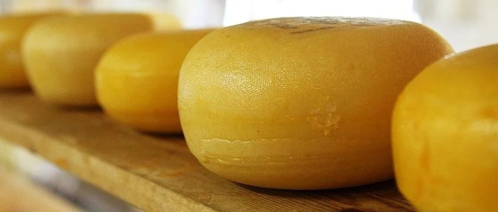 Spenden sammeln | Käse selber machen. | Spendenseite