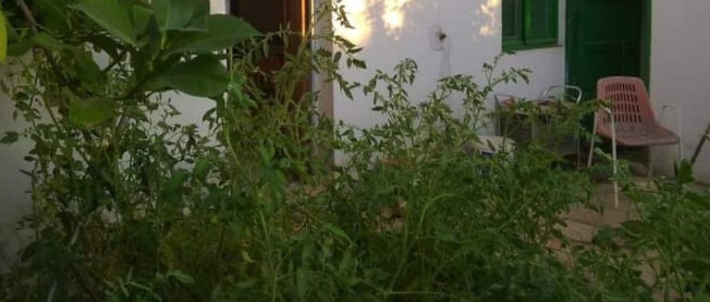 Spenden sammeln | Der Garten unserer Mutter | Spendenseite