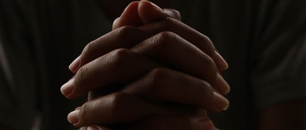Spenden sammeln | Gelu will nicht sterben | Spendenseite