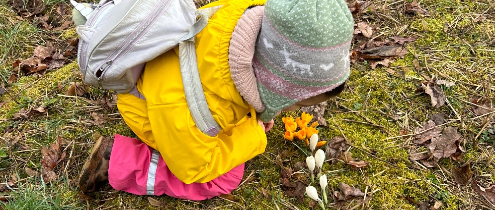 Spenden sammeln | Umzug in ein sicheres Heim | Spendenseite
