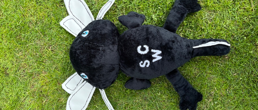 Spenden sammeln | SCW Maskottchen G Jugend | Spendenseite