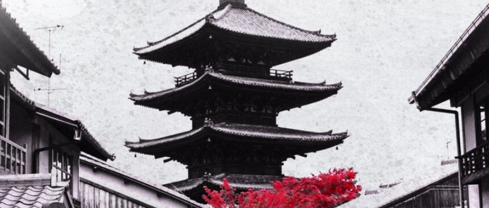 Spenden sammeln | Der Japan Traum wird wahr | Spendenseite