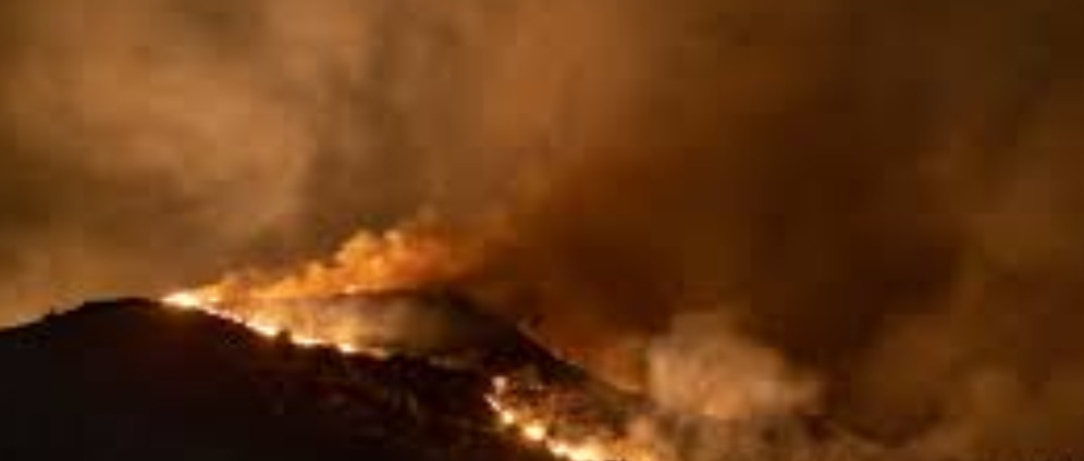 Spenden sammeln | United for Evros Restoring Hope After the Flames | Spendenseite