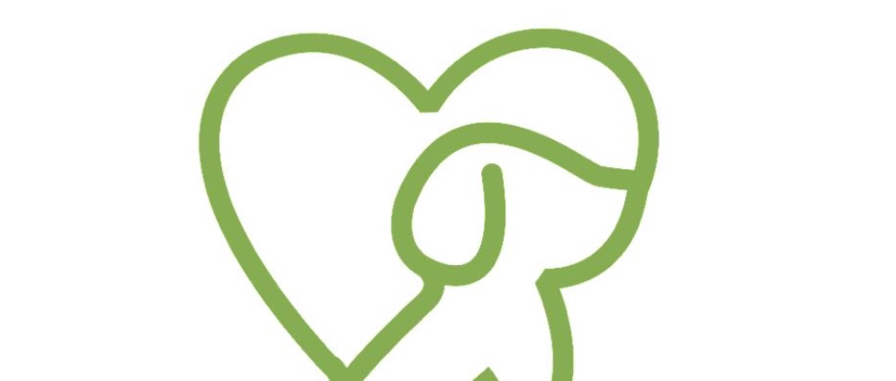 Spenden sammeln | Lesika Hundehilfe e.V. | Spendenseite