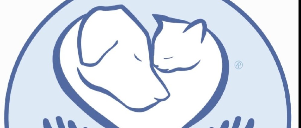 Spenden sammeln | Weihnachten in Help Labus | Spendenseite