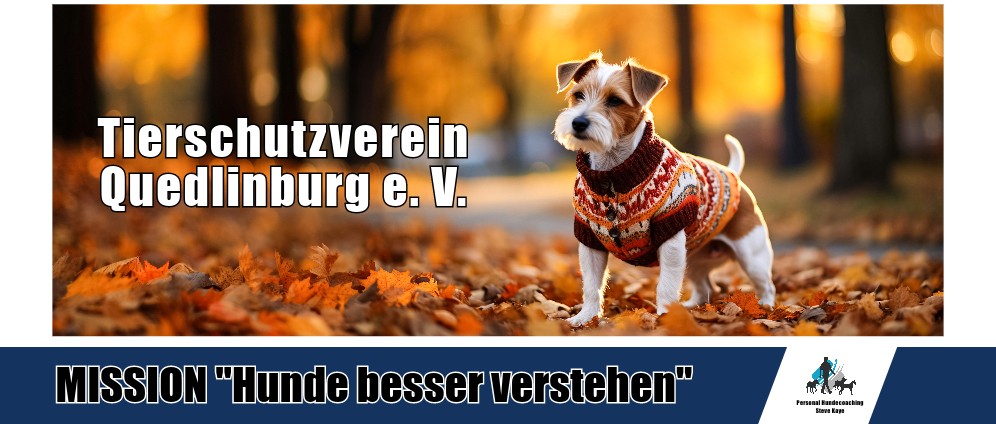 Spenden sammeln | Tierschutzverein Quedlinburg e. V. | Spendenseite