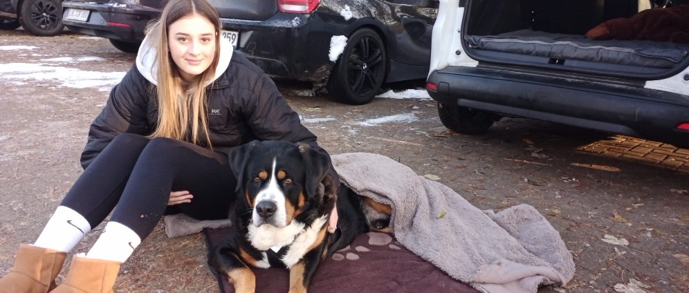 Spenden sammeln | Spende, damit mein Hund weiterleben kann | Spendenseite