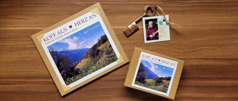 Spenden sammeln | Meine CD Produktion Kopf aus Herz an | Spendenseite