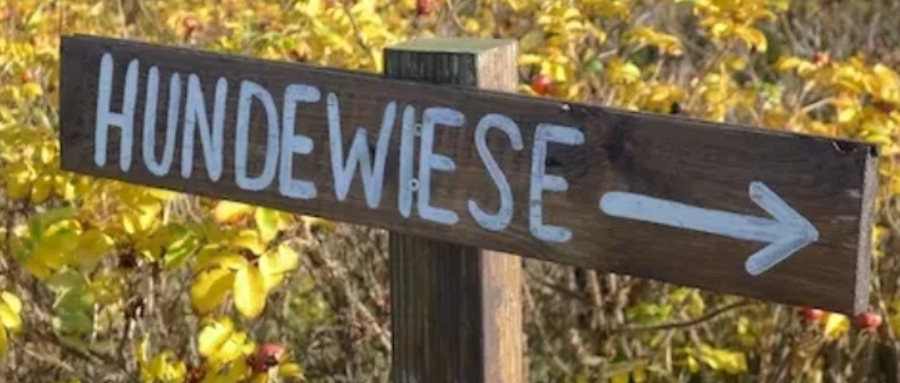 Spenden sammeln | Schrebergarten mit Hundewiese Grünes Hundeglück | Spendenseite