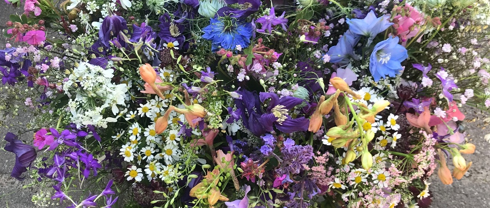 Spenden sammeln | Die Blumenfee in Kuddewörde | Spendenseite