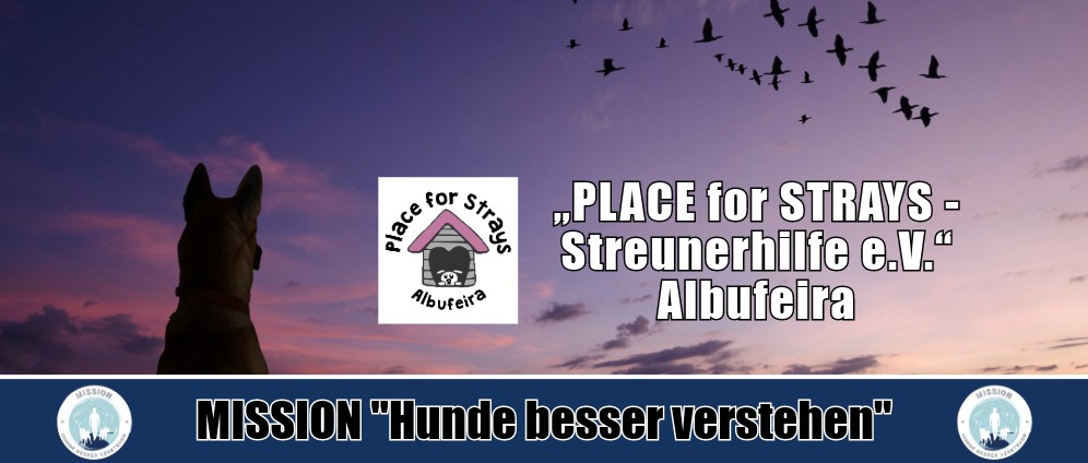 PLACE for STRAYS Streunerhilfe e.V. Albufeira | Spenden sammeln