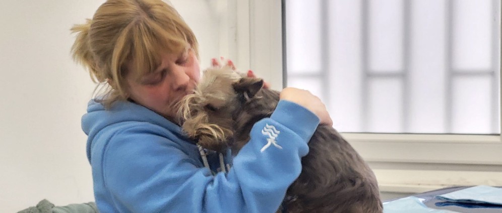 Spenden sammeln | Zwergschnauzer Fritzi kämpft um ihr Leben | Spendenseite
