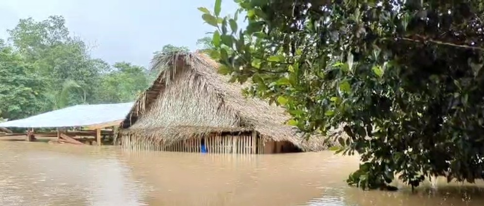 Spenden sammeln | Hochwasser im Amazonas Floods in the Amazon | Spendenseite