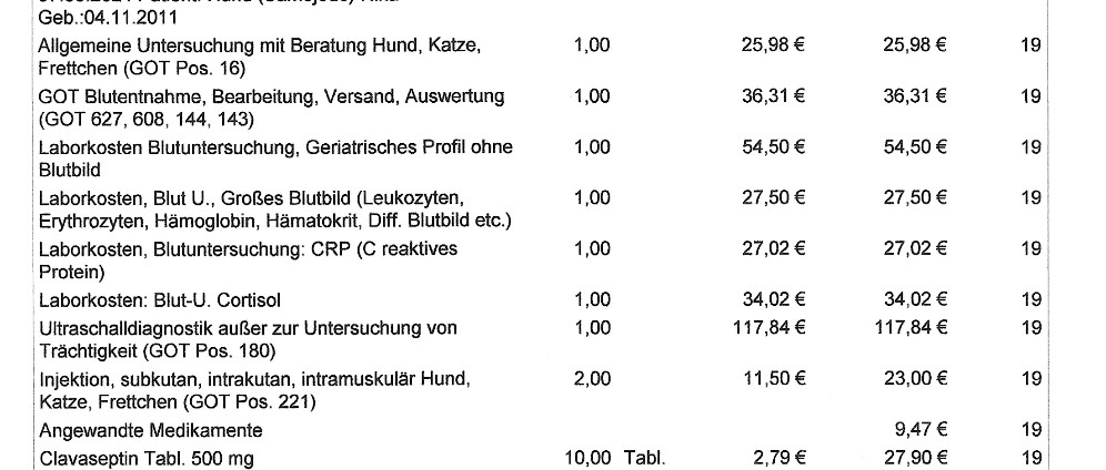 Spenden sammeln | Tiearztrechnung | Spendenseite