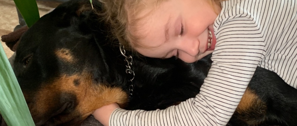 Spenden sammeln | Bett für meine 4, jährige Tochter | Spendenseite