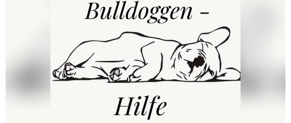 Spenden sammeln | Hilfe für Bulldoggen | Spendenseite