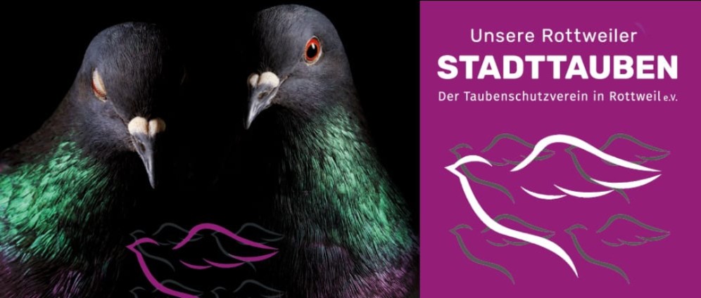Spenden sammeln | Neuer Taubenschlag für die Rottweiler Stadttauben | Spendenseite