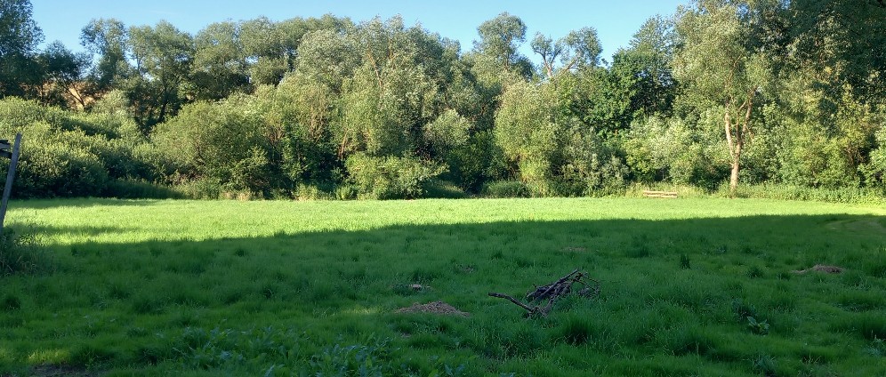 Spenden sammeln | Waldgarten Kräuterpark Naturreservat | Spendenseite