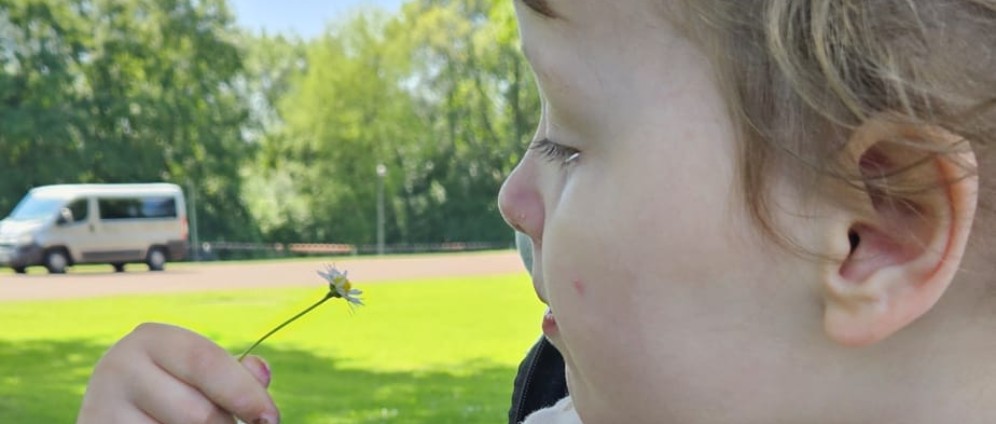 Spenden sammeln | Hände waschen leicht gemacht | Spendenseite