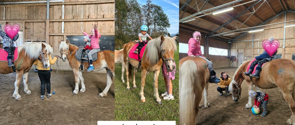 Spenden sammeln | Spendenaufruf Reiten für Kinder | Spendenseite