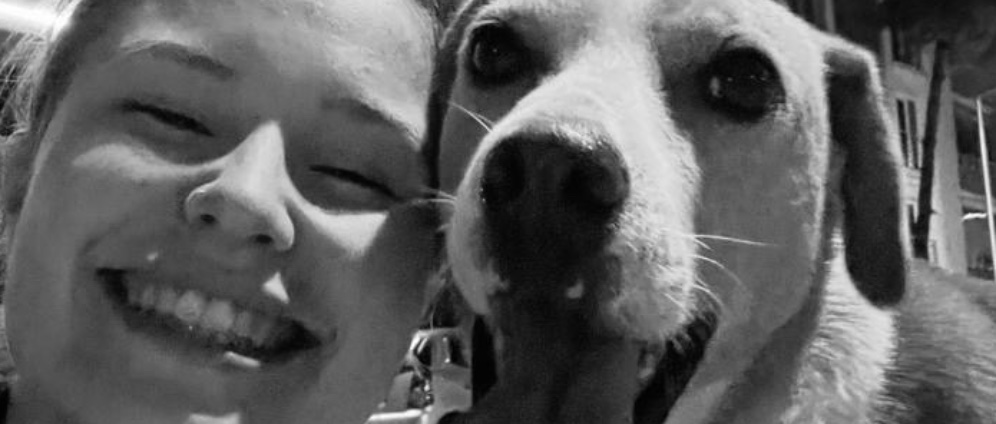 Spenden sammeln | Animals Türkei | Spendenseite