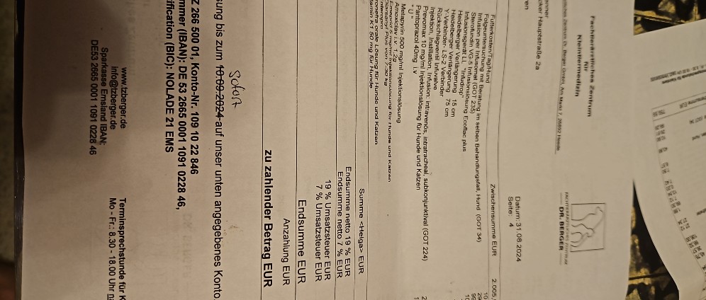 Spenden sammeln | Tier Klinik kosten | Spendenseite