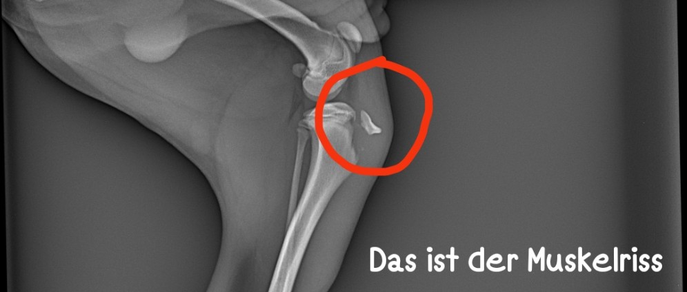 Spenden sammeln | Helft uns Bitte | Spendenseite