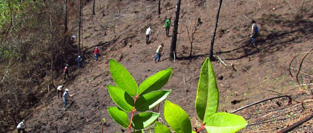 Spenden sammeln | Kampf gegen Klimawandel und Biodiversitätsverlust | Spendenseite