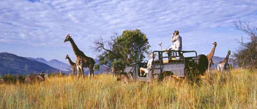 Spenden sammeln | Reise ins Safari | Spendenseite