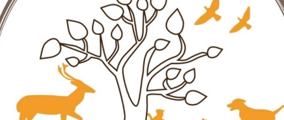 Spenden sammeln | Tierseelenrettung | Spendenseite