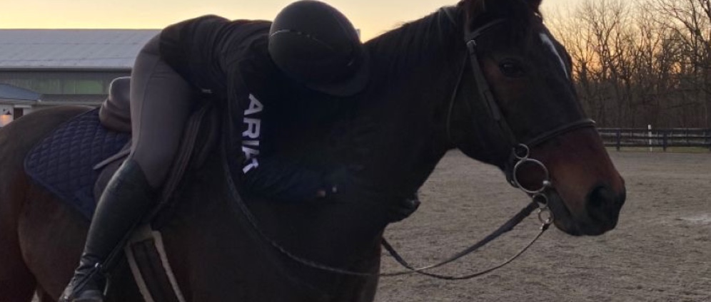 Spenden sammeln | Spenden für reitbeteildigung | Spendenseite