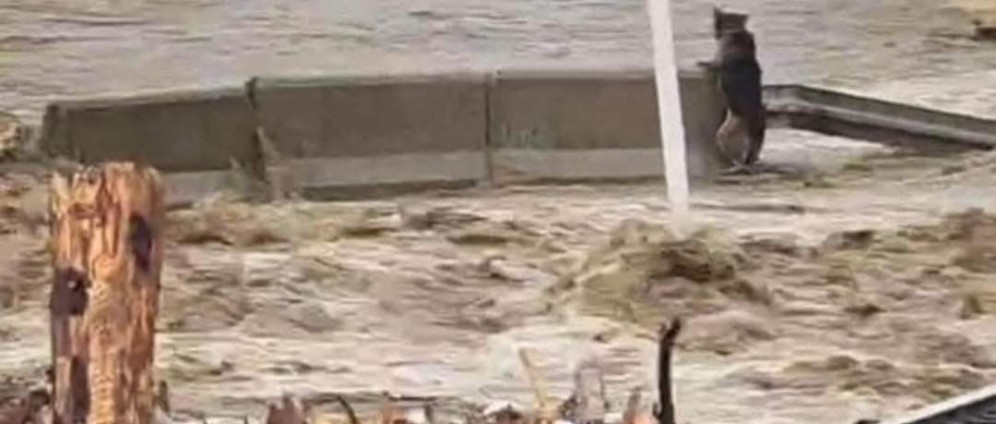 Spenden sammeln | Hochwasser in Polen | Spendenseite