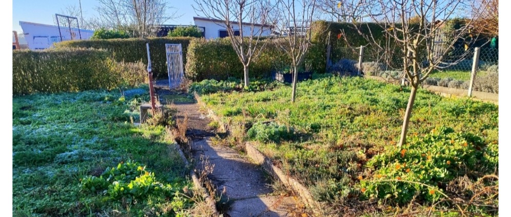 Spenden sammeln | Begegnungsgarten für Senioren, Nachbarn | Spendenseite
