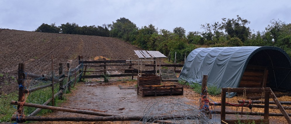 Spenden sammeln | Spenden für Tiere in Not, Hochwasser Niederösterre | Spendenseite