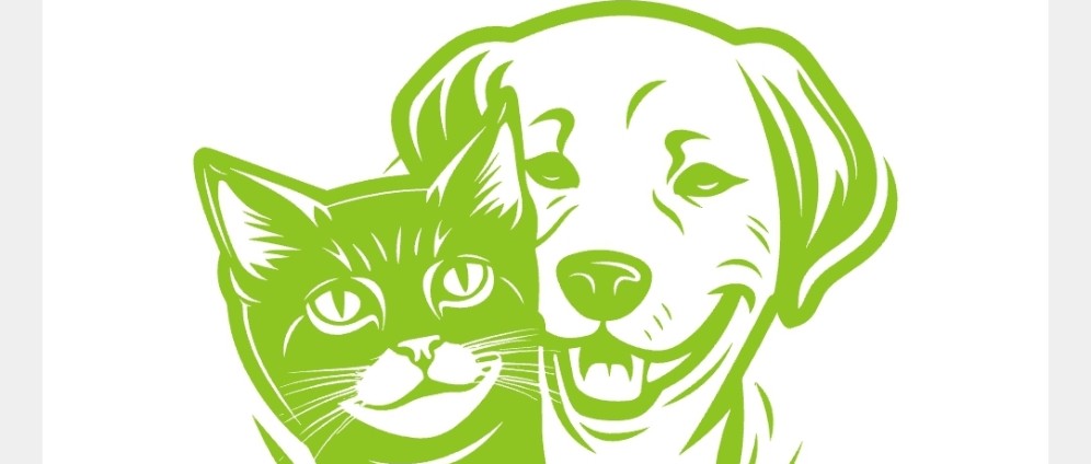 Spenden sammeln | Spende für das Tierheim | Spendenseite