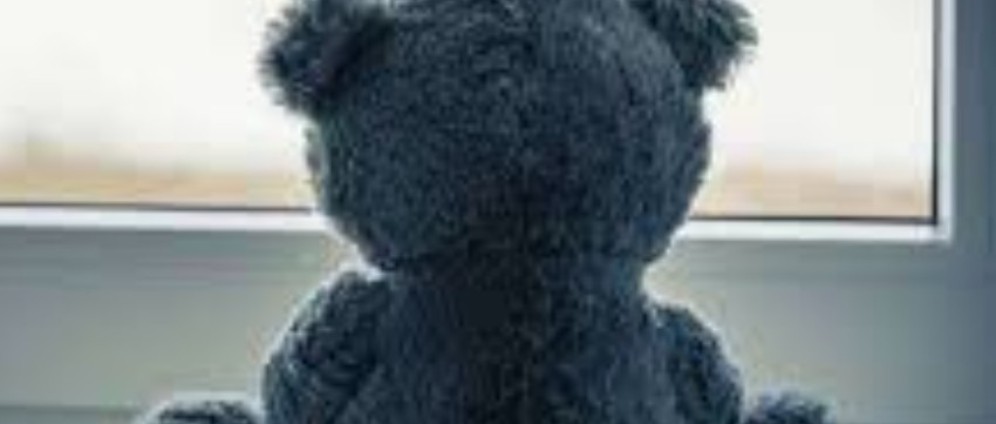 Spenden sammeln | Autismustherapie und Begleithund unserer Tochter | Spendenseite