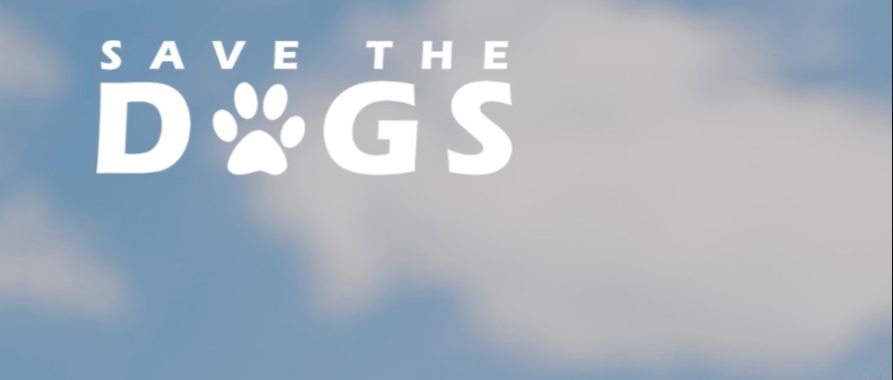 Spenden sammeln | Savethedog | Spendenseite