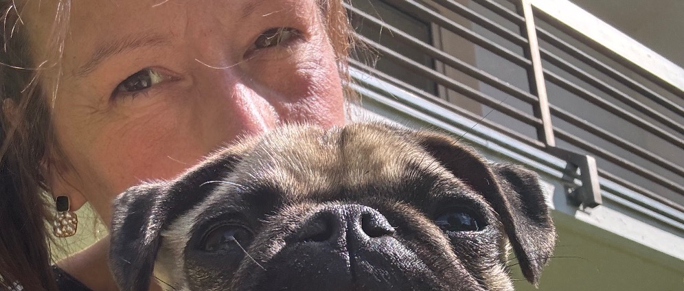 Spenden sammeln | Urlaub mit Hund | Spendenseite