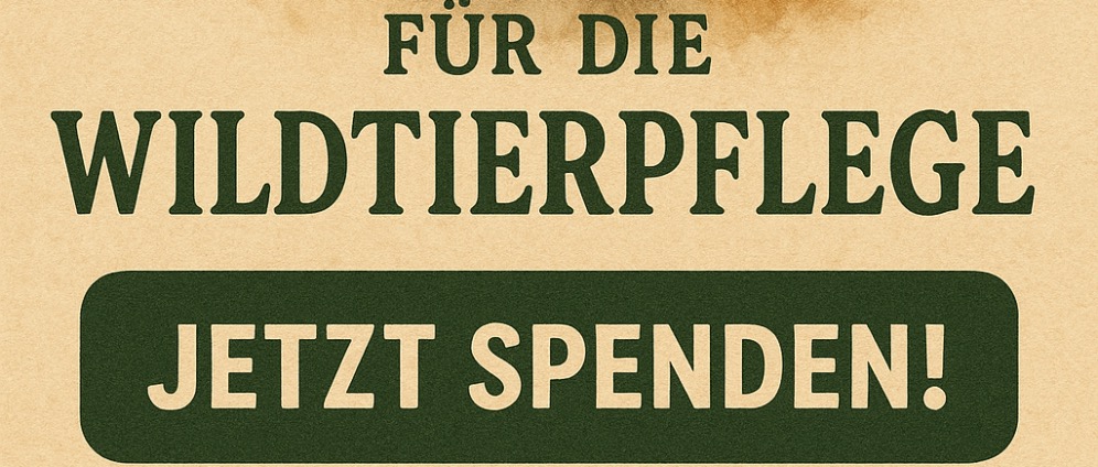 Spenden sammeln | Wildtiere brauchen Hilfe | Spendenseite