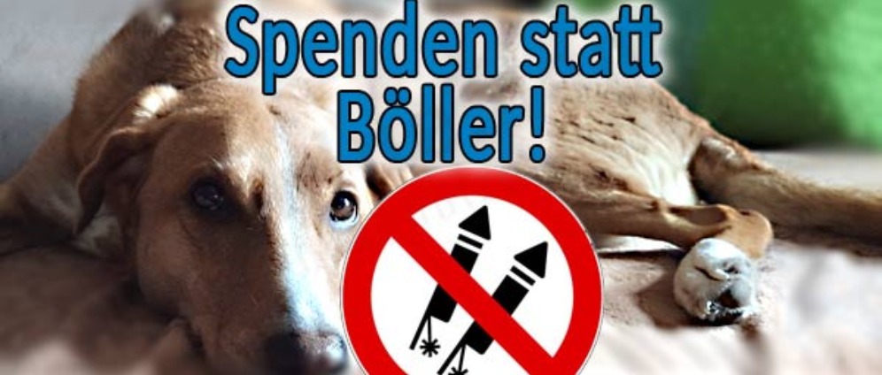 Spenden sammeln | Kein Böller an Silvester | Spendenseite