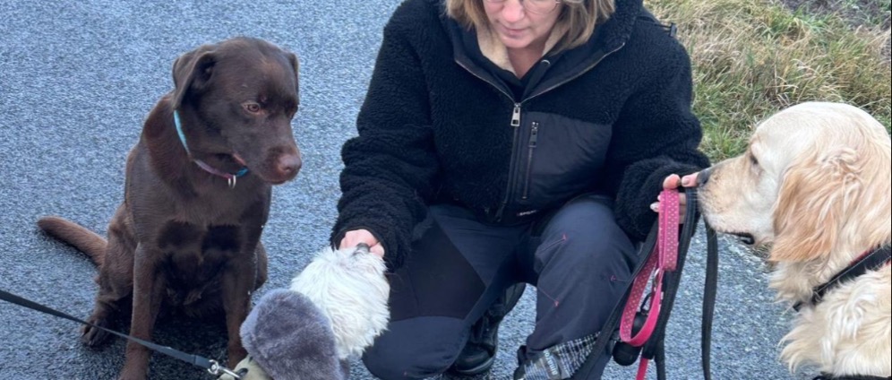 Spenden sammeln | Mensch Hund Team | Spendenseite
