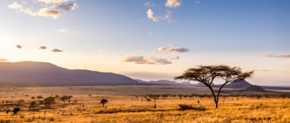 Spenden sammeln | Afrika Expedition | Spendenseite