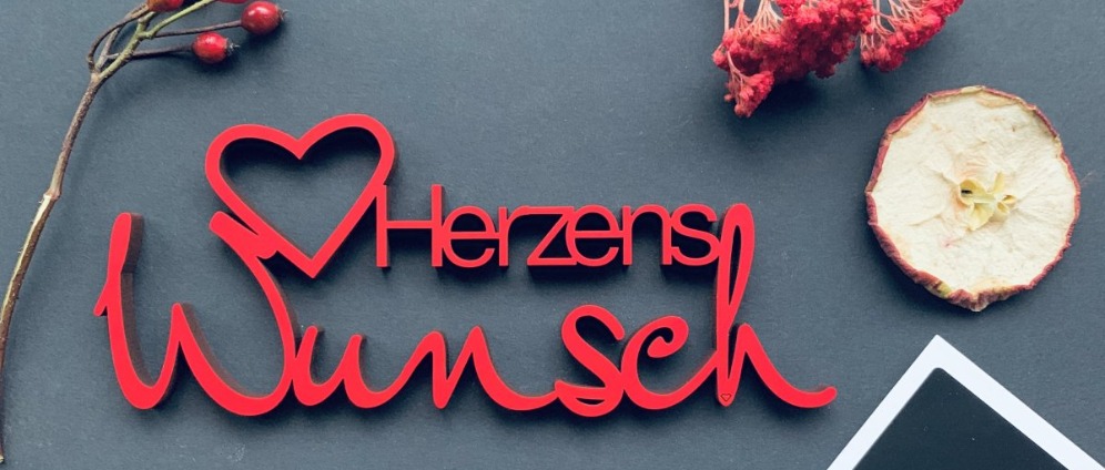 Spenden sammeln | Weiterfinanzierung meines Herzenswunschs | Spendenseite